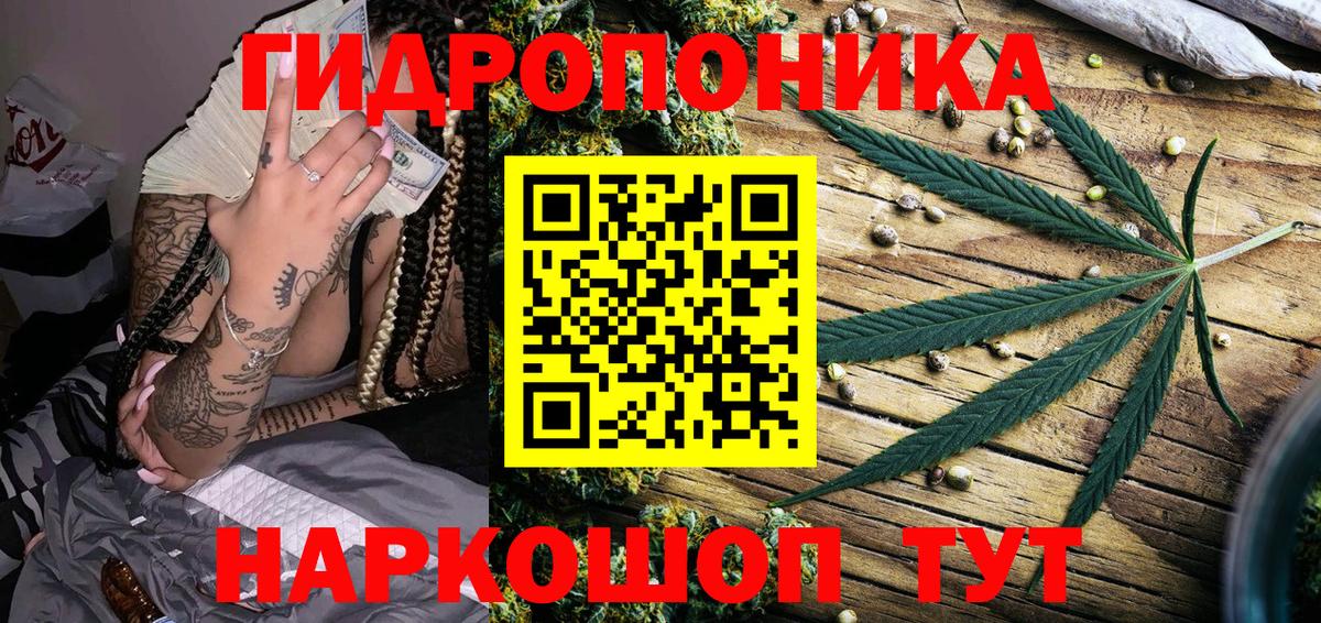 Каннабис индика  Шишки марихуана Bruce Banner  Вход с VPN  Димитровград 
